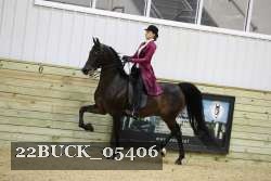22BUCK_05406 proof