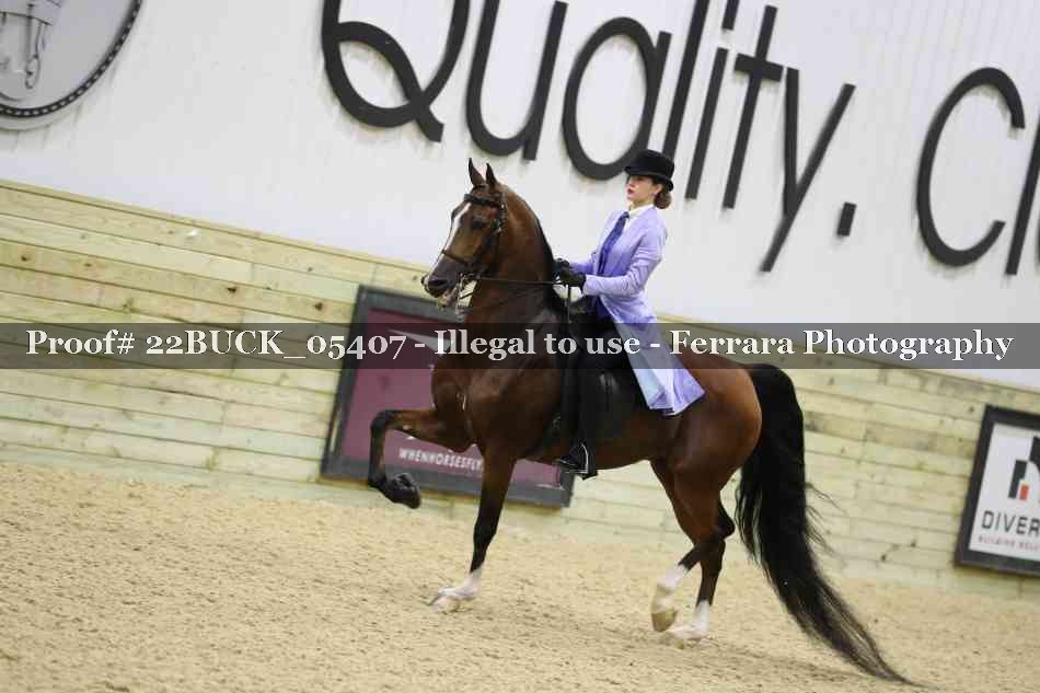 Proof 22BUCK_05407