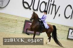 22BUCK_05407 proof