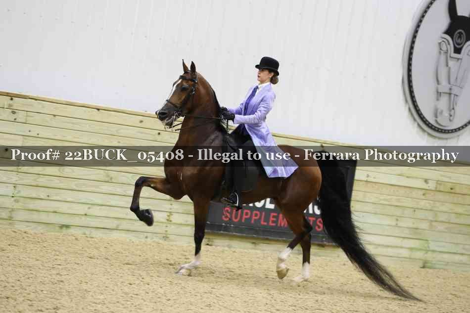 Proof 22BUCK_05408