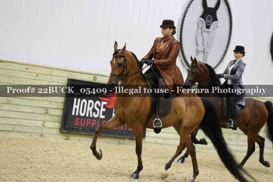 Proof 22BUCK_05409