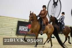 22BUCK_05409 proof