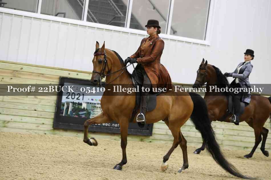 Proof 22BUCK_05410