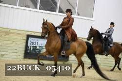 22BUCK_05410 proof