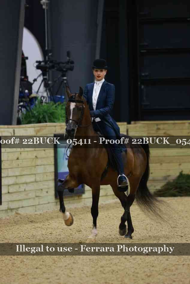 Proof 22BUCK_05411