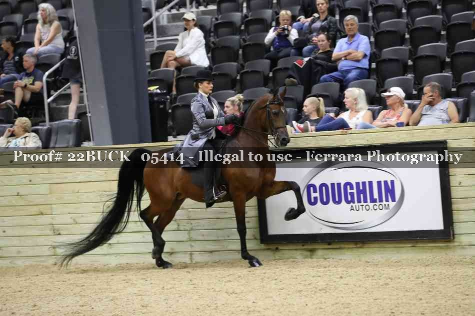 Proof 22BUCK_05414