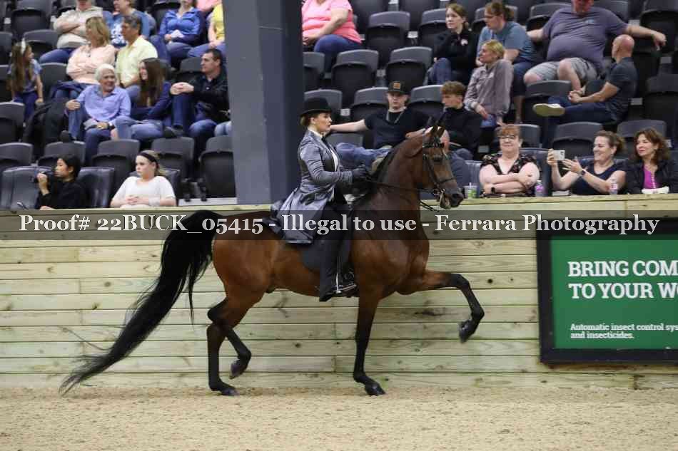 Proof 22BUCK_05415
