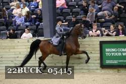 22BUCK_05415 proof