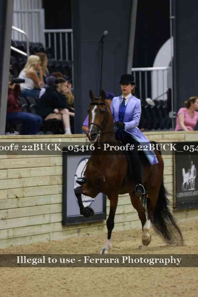 Proof 22BUCK_05416