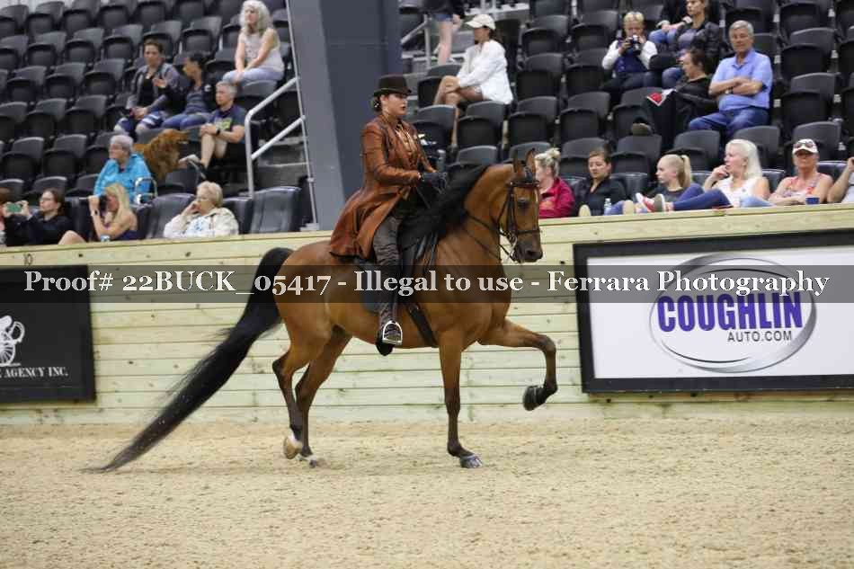 Proof 22BUCK_05417