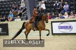 22BUCK_05417 proof