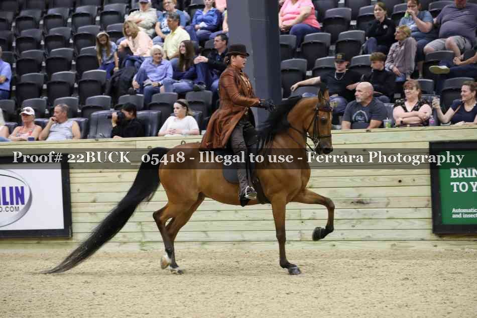 Proof 22BUCK_05418