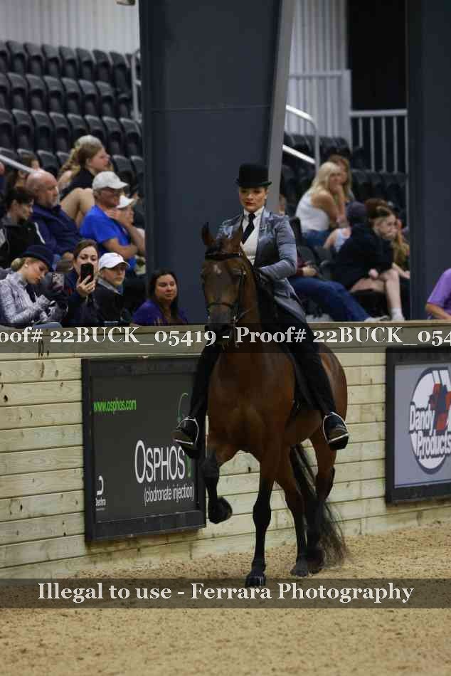 Proof 22BUCK_05419