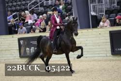22BUCK_05422 proof