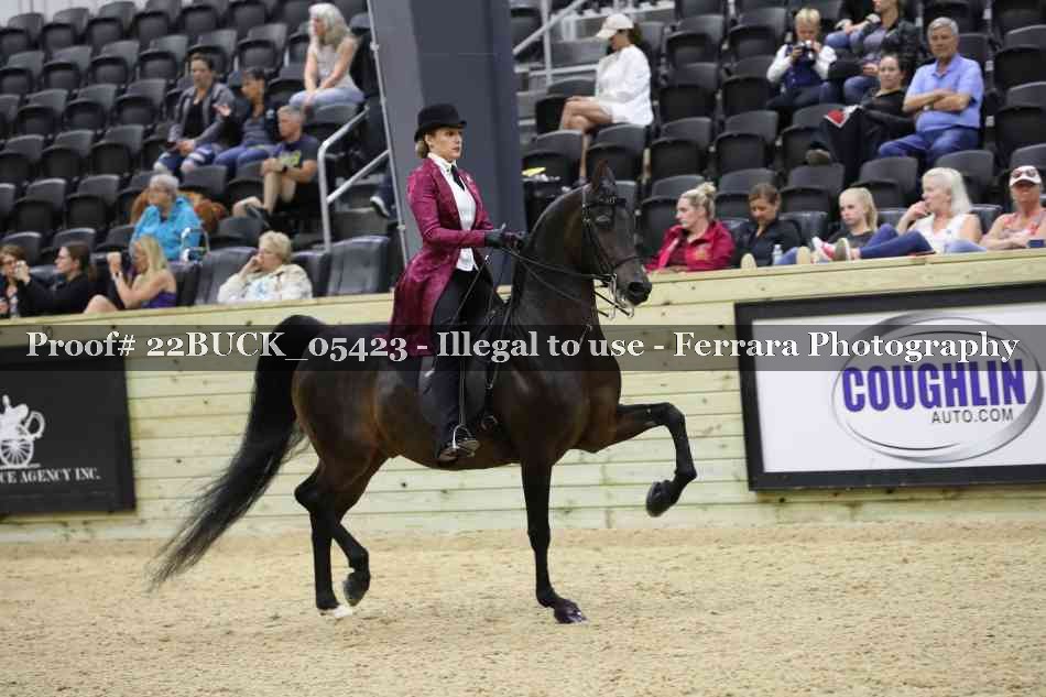 Proof 22BUCK_05423