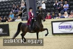 22BUCK_05423 proof