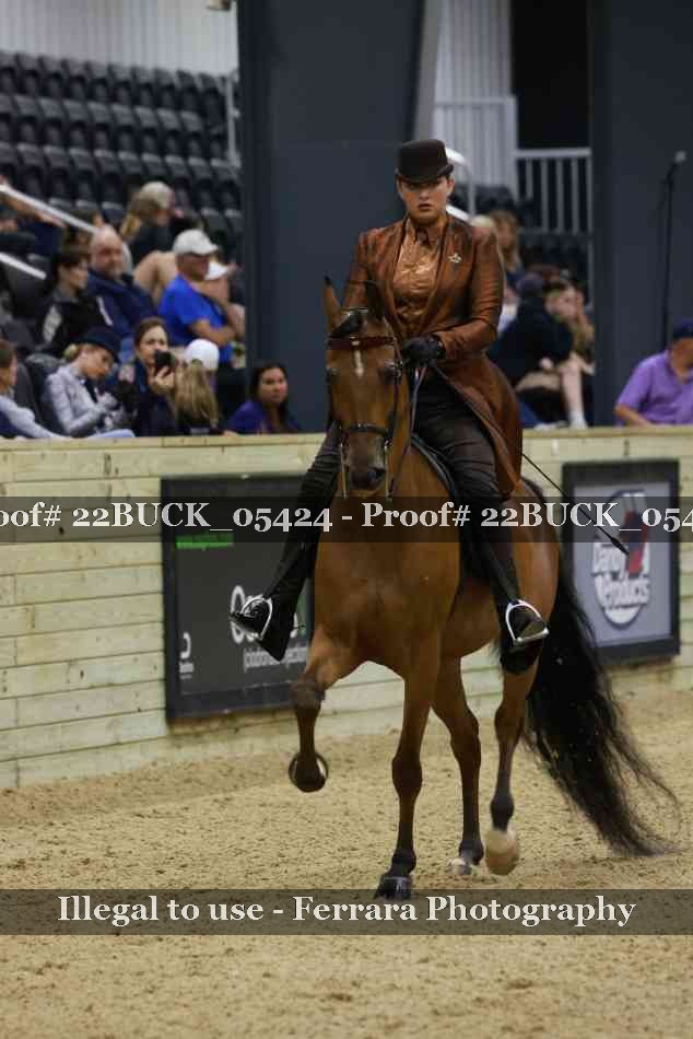 Proof 22BUCK_05424
