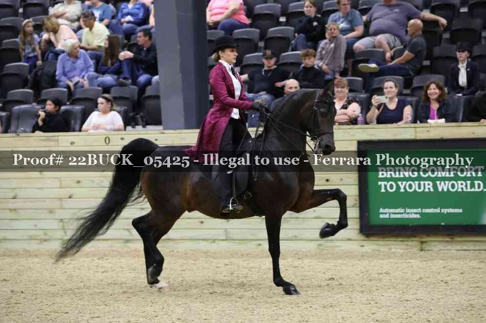 Proof 22BUCK_05425