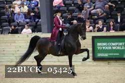 22BUCK_05425 proof