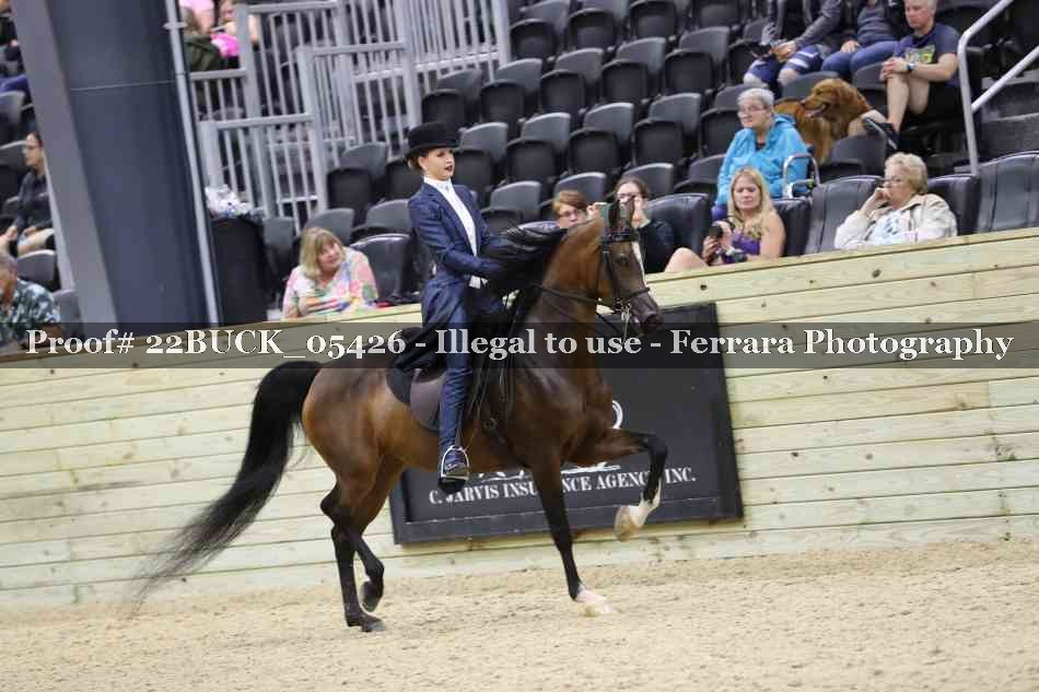 Proof 22BUCK_05426