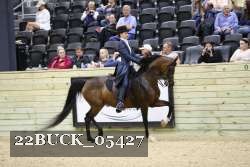 22BUCK_05427 proof