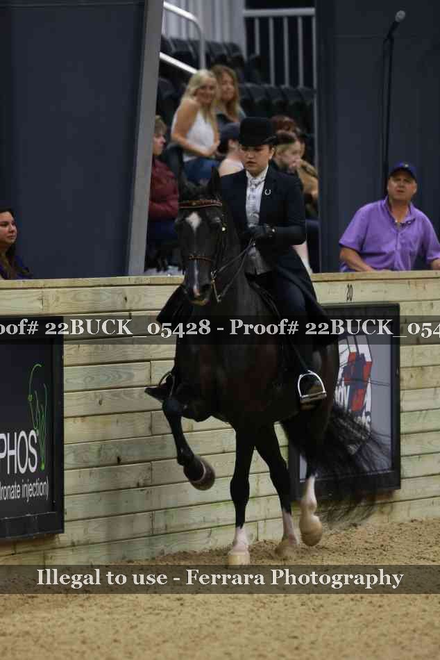 Proof 22BUCK_05428