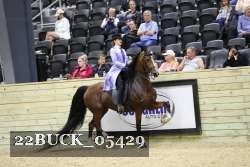 22BUCK_05429 proof