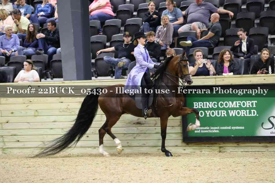 Proof 22BUCK_05430