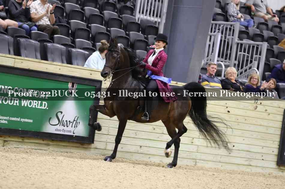 Proof 22BUCK_05431