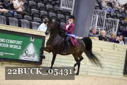 22BUCK_05431 proof