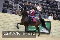 22BUCK_05432 proof