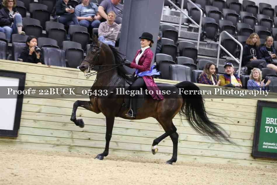 Proof 22BUCK_05433