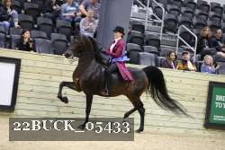22BUCK_05433 proof