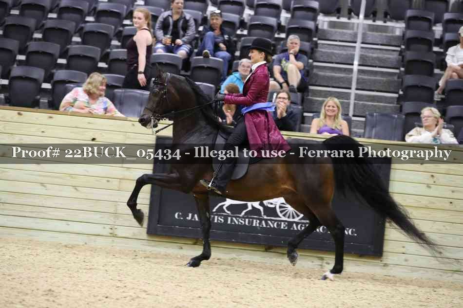 Proof 22BUCK_05434