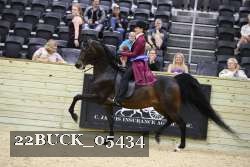 22BUCK_05434 proof
