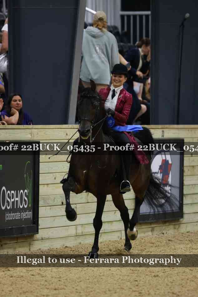 Proof 22BUCK_05435
