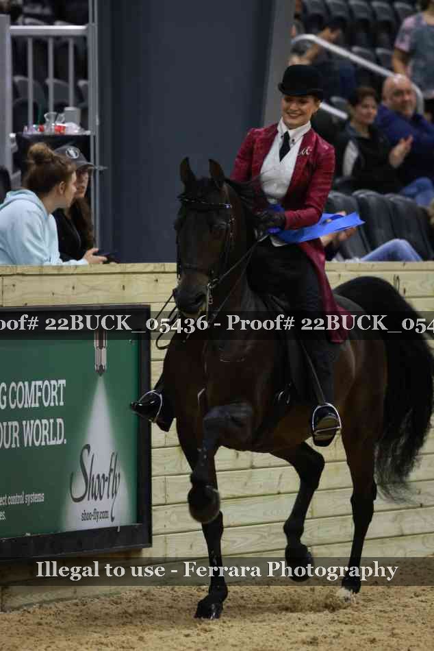 Proof 22BUCK_05436