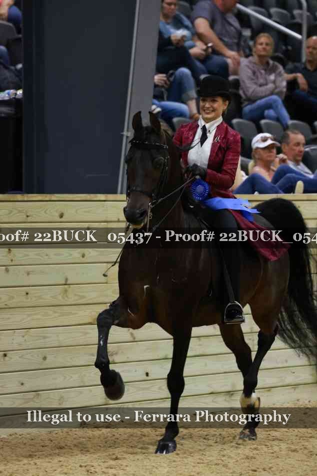 Proof 22BUCK_05437