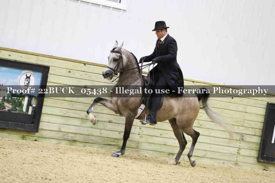 Proof 22BUCK_05438