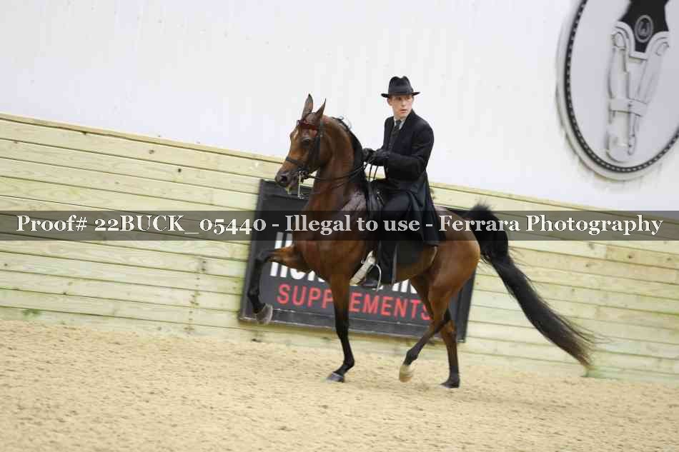 Proof 22BUCK_05440