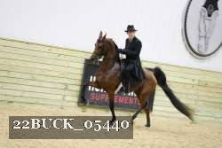 22BUCK_05440 proof