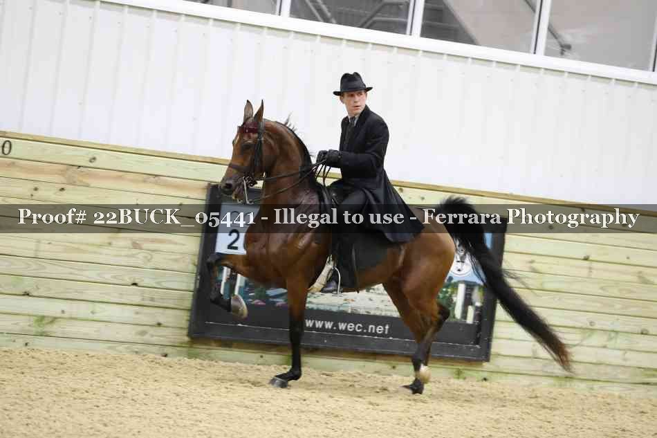 Proof 22BUCK_05441