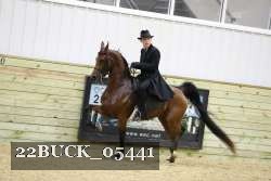 22BUCK_05441 proof