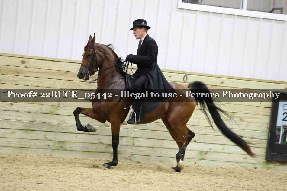 Proof 22BUCK_05442
