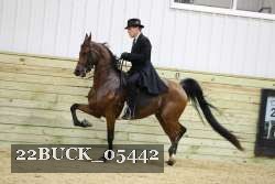 22BUCK_05442 proof