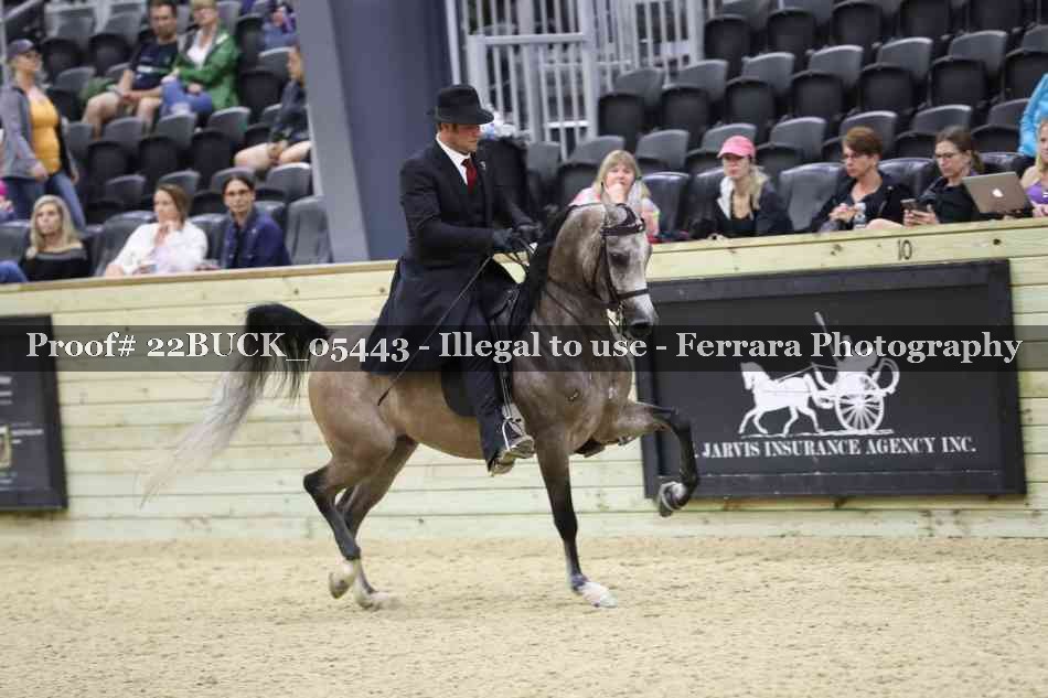 Proof 22BUCK_05443