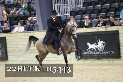 22BUCK_05443 proof