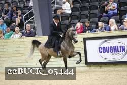 22BUCK_05444 proof