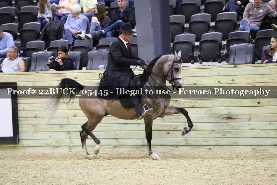 Proof 22BUCK_05445