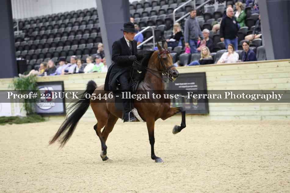 Proof 22BUCK_05446